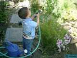 Gardening with a Young Boy in 2002