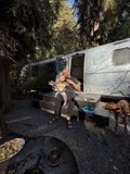 Caravan Harmony