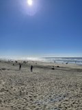 Fun in the Sun at Ocean Beach