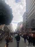 Metropolis in Motion