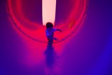 Joyful Adventure in a Purple Wonderland