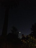 Nighttime Oasis