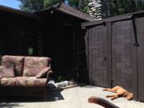 Canine Comfort in the California Sun