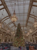 Magnificent Christmas Tree in Grand Hotel Ballroom