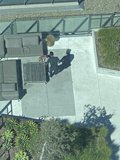 Man and Dog Enjoying the Outdoors in San Francisco