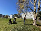 Park-goers enjoying a sunny day