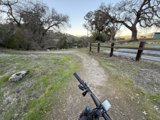 Tranquil Trails