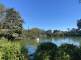 Serene Canoeing Adventure in the Heart of the City