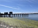 Serene Scene at Bodega Bay Pier