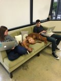 Relaxing with Our Furry Friends