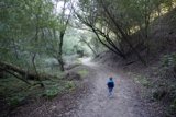 Journey Through Nature's Embrace