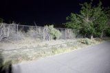 Midnight Seclusion: A Roadside Perspective
