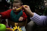 Little Food Explorer at Charter Oak Potluck
