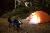 Embracing Wilderness at Presidio, 2023
