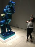 Capturing Artistic Beauty