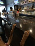 Night at the Pub