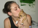 A Woman and Her Chihuahua Companion