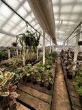 A Green Haven
