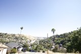 A Tranquil Neighborhood with Palm Trees