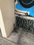 The Art of Vandalism