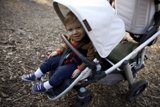 Joyful Stroll at Thistlewyck