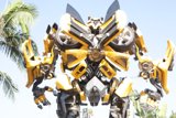 Bumblebee Robot in the Great Outdoors