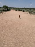 A Walk in the Desert Field