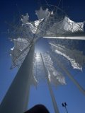 Radiant Structure