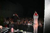 Crowd Goes Wild as Entertainers Take the Stage