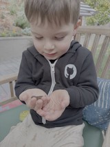 Young Child Gently Holding Small Creature Outdoors
