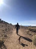A Walk with My Best Friend