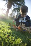 Autumn's Lure: An Afternoon Of Innocent Play
