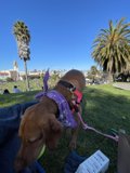 Pretty in Purple