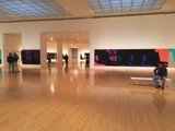 Contemplating Art