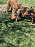 Playtime in the Park