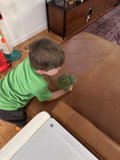 Broccoli Adventures
