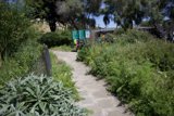 Verdant Pathways: Earth Day Celebrations at Alemany Farm