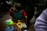 Tiny Jungle Explorer