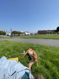 Serene Pup in a Scenic Park