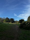 Serenity in McLaren Park