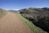 The Untamed Wilderness of Marin Headlands Hill 88