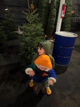Children Selecting Christmas Tree at Festive Tree Lot