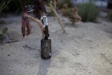 Cell Phone Key Chain with a Plant Design