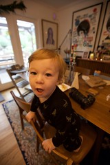 Toddler in Dinosaur Pajamas on Christmas Evening