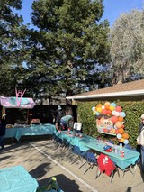 Colorful Outdoor Birthday Party Setup for Leo