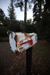 Weathered White Mailbox in Forest Setting