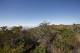 Majestic View from the Hilltop
