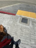 Street Pals