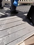 Summer Porch Stroll