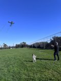 A Joyful Breeze: Kite-Flying with Dave B and Wesley